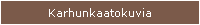 Karhunkaatokuvia